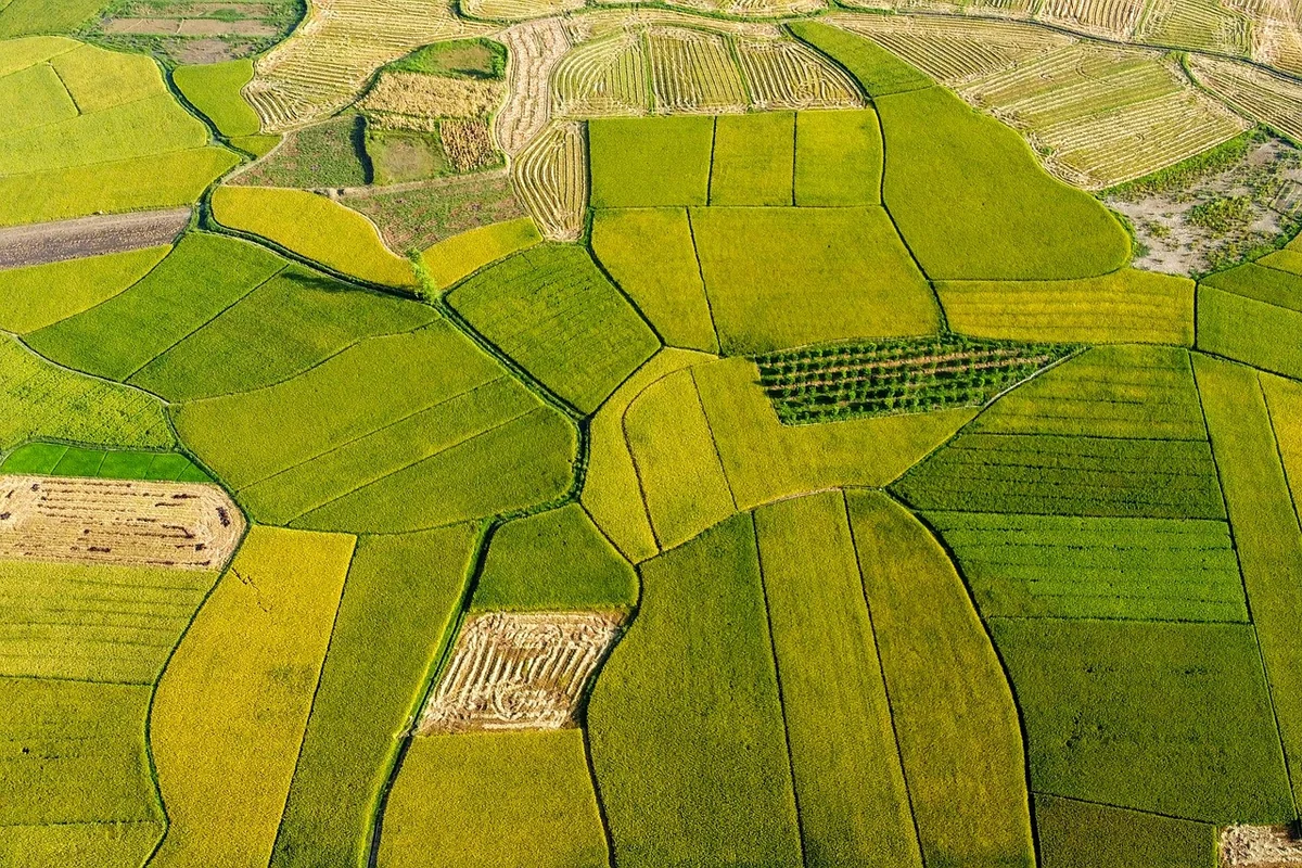 Matériaux métalliques (bac acier, zinc) : le modernisme industriel