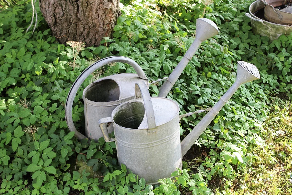 Les tendances déco jardin vintage à adopter absolument en 2026
